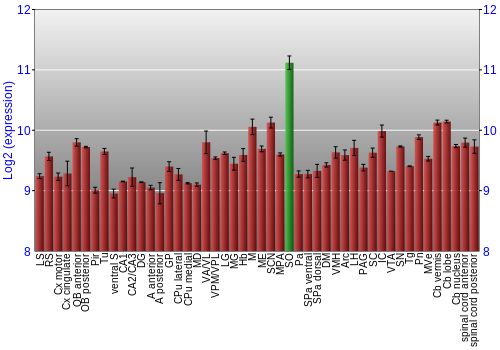 Multi-state expression graph