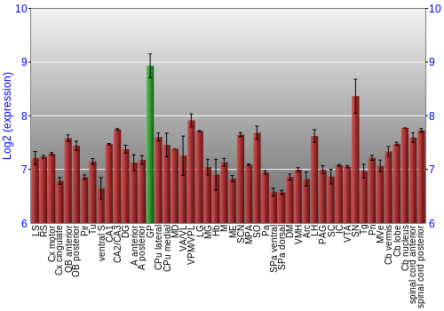 Multi-state expression graph