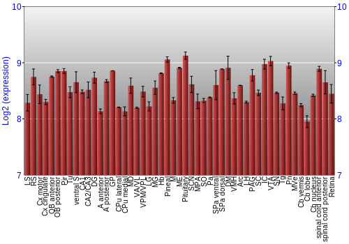 Expression graph