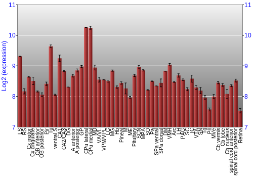 Expression graph