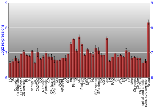 Expression graph