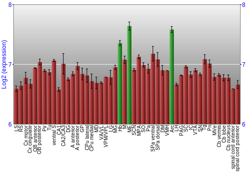 Multi-state expression graph