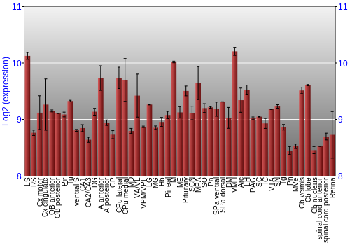 Expression graph