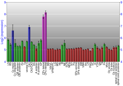 Multi-state expression graph
