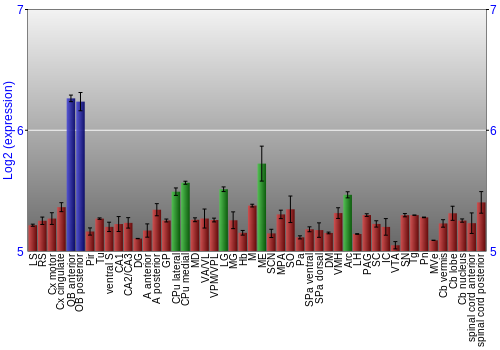 Multi-state expression graph