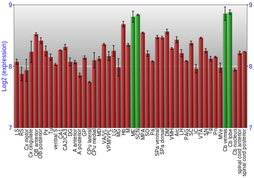 Multi-state expression graph