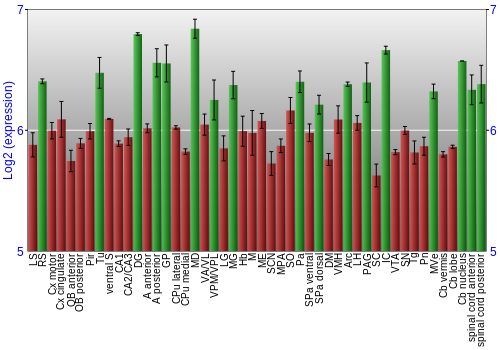 Multi-state expression graph