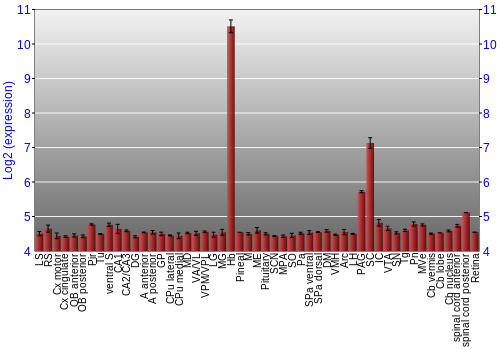 Expression graph