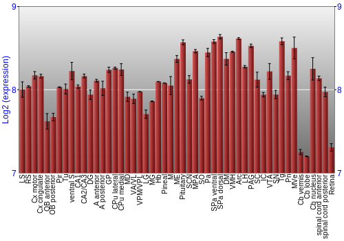 Expression graph
