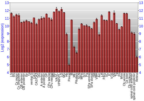 Expression graph