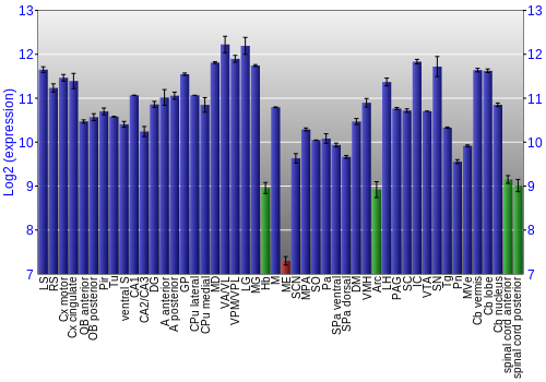 Multi-state expression graph