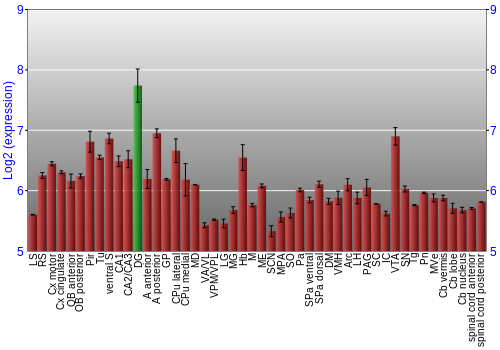 Multi-state expression graph