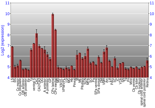 Expression graph