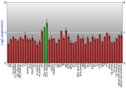 Multi-state expression graph
