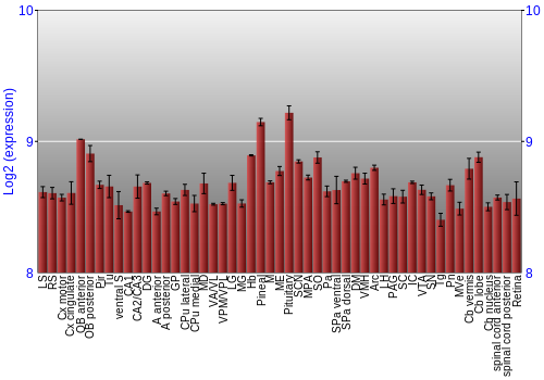 Expression graph