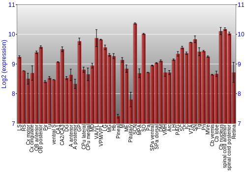 Expression graph