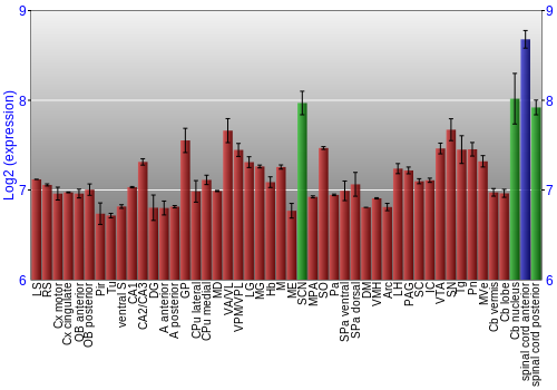 Multi-state expression graph