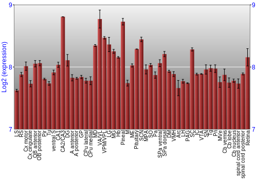 Expression graph