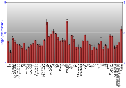 Expression graph