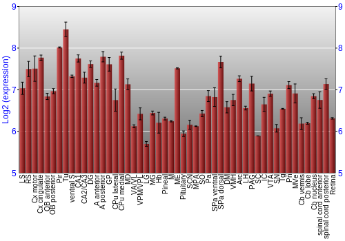 Expression graph