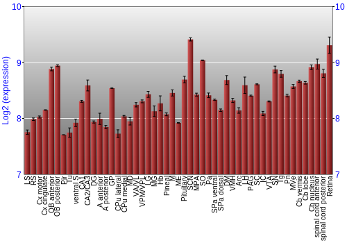Expression graph