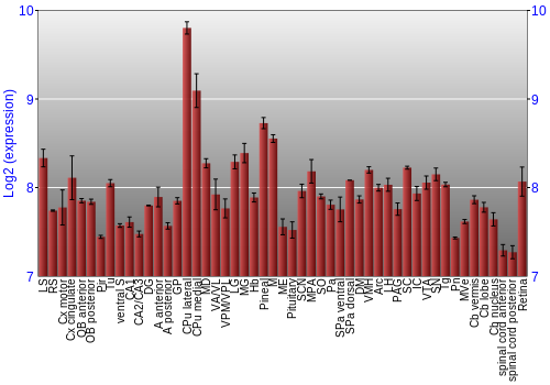 Expression graph