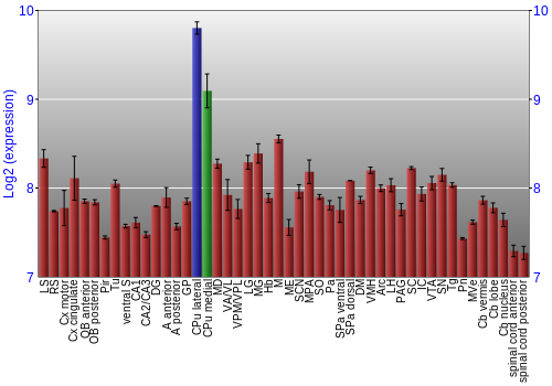 Multi-state expression graph