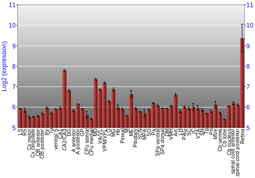 Expression graph