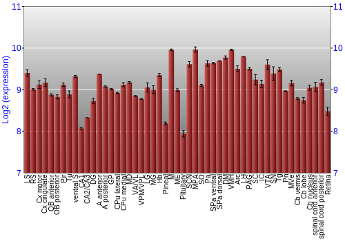 Expression graph