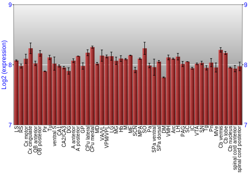 Multi-state expression graph