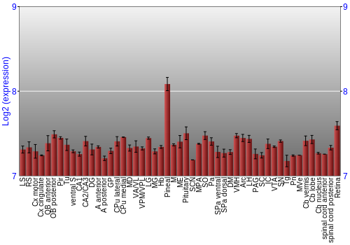 Expression graph