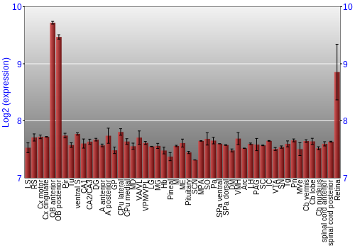 Expression graph