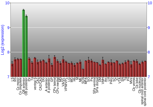 Multi-state expression graph