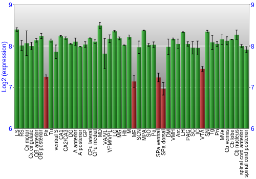 Multi-state expression graph