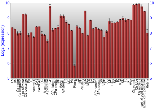 Expression graph