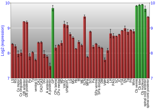 Multi-state expression graph