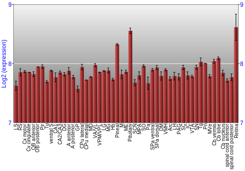 Expression graph
