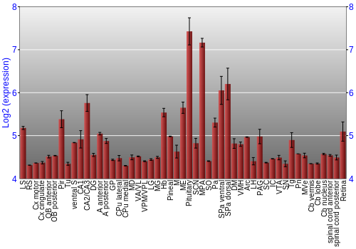 Expression graph