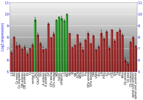 Multi-state expression graph