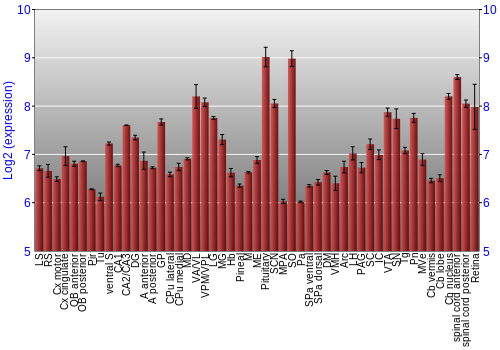 Expression graph