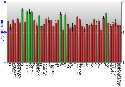 Multi-state expression graph