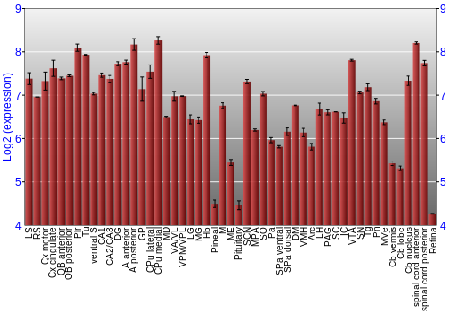 Expression graph