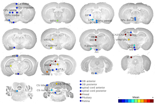 Expression map