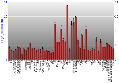 Expression graph