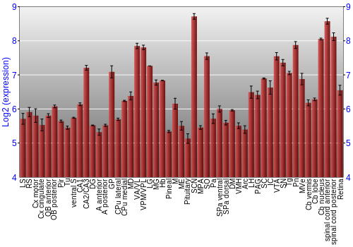 Expression graph