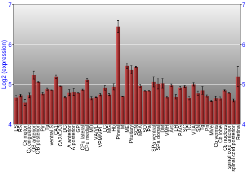 Expression graph