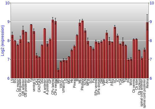 Expression graph