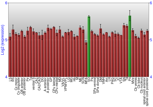 Multi-state expression graph