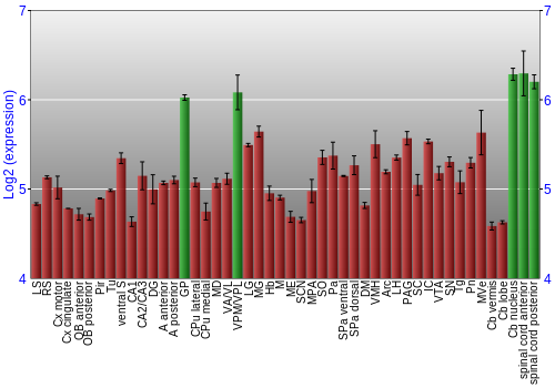 Multi-state expression graph