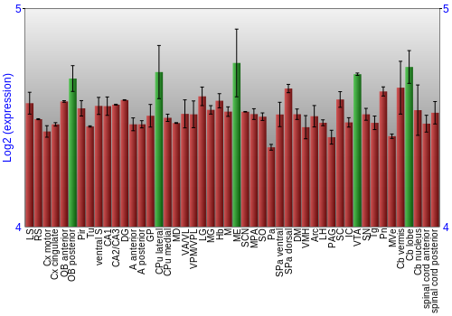 Multi-state expression graph